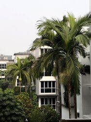 euHabitat (D14), Condominium #628854261